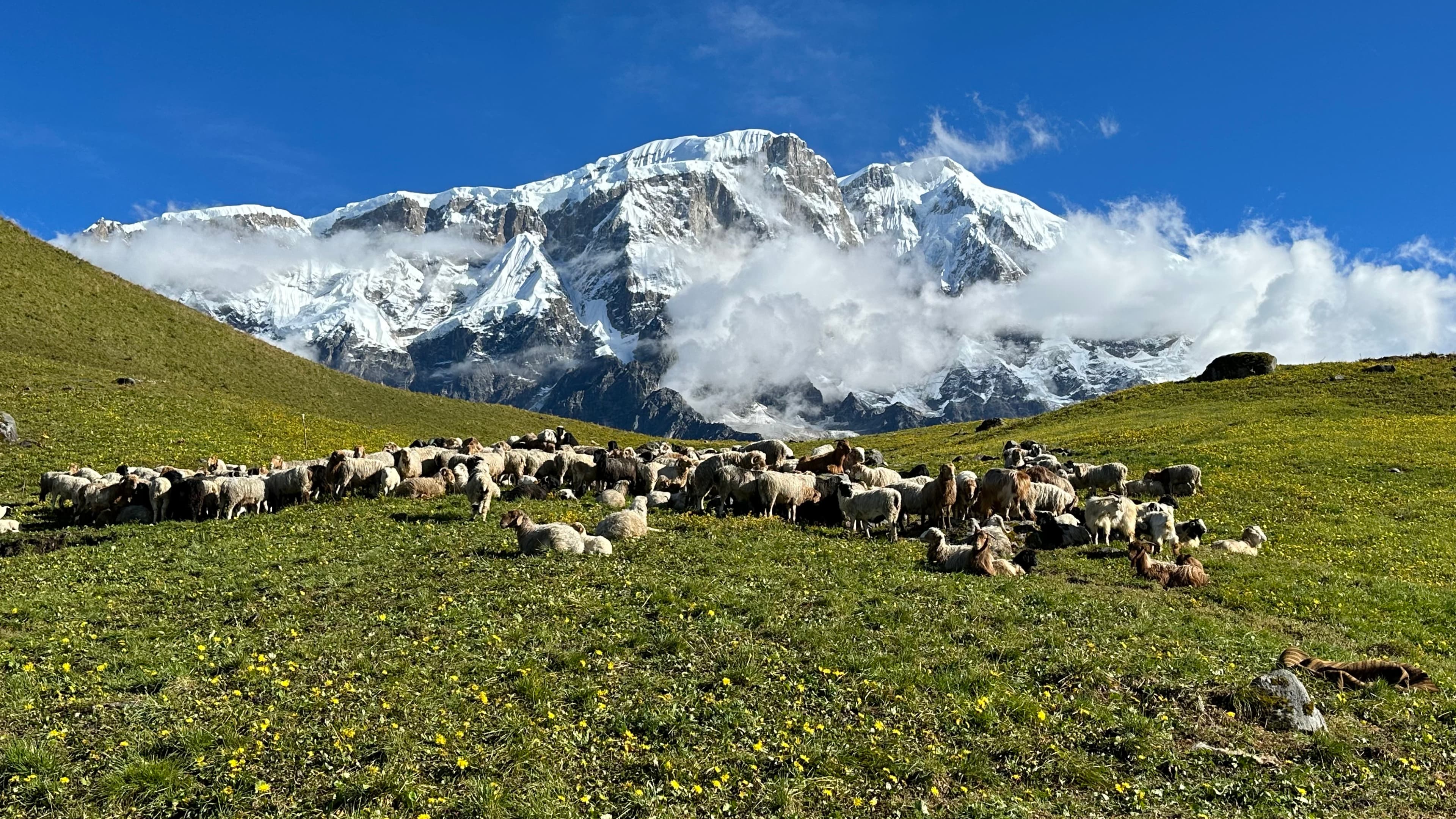 Kori Trek